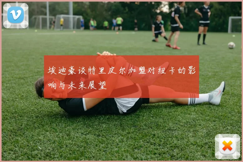 埃迪豪谈特里皮尔加盟对纽卡的影响与未来展望